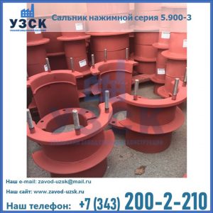 Сальники нажимные серия 5.900-3 в Улан-Удэ